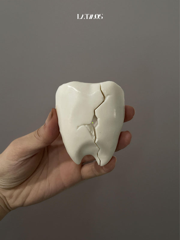 Tooth earphone case.（pre-order）